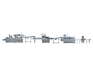 BZLX-120B-Full-Automatic-Packing-Production-Line