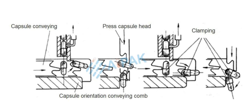 Solving Capsule Filling Defects: 6 Critical Stations to Optimize ...