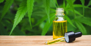 CBD-Oil-extraction