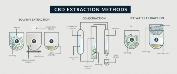 Cannabis Oil Extraction Machine:The Complete Buying Guide in 2024 – AIPAK