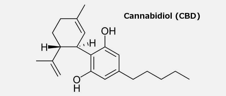 cannabidiol