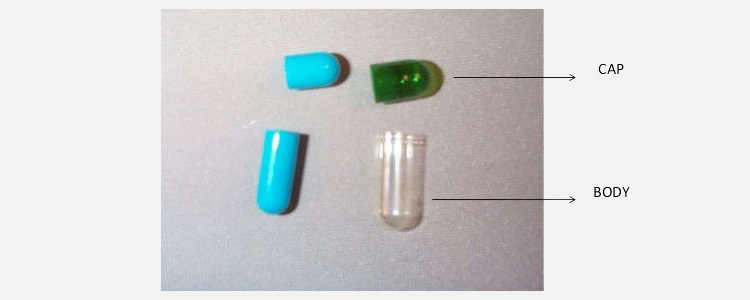 Cap and Body of a A capsule
