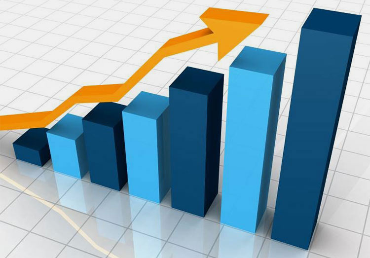 Global Forecast of the Capsule Filling Machine