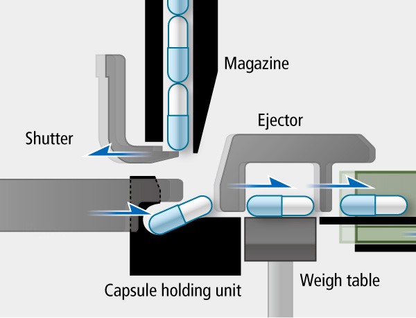 Capsule Filling Process