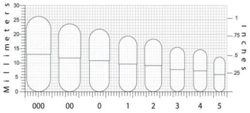 Different Sizes of Capsules