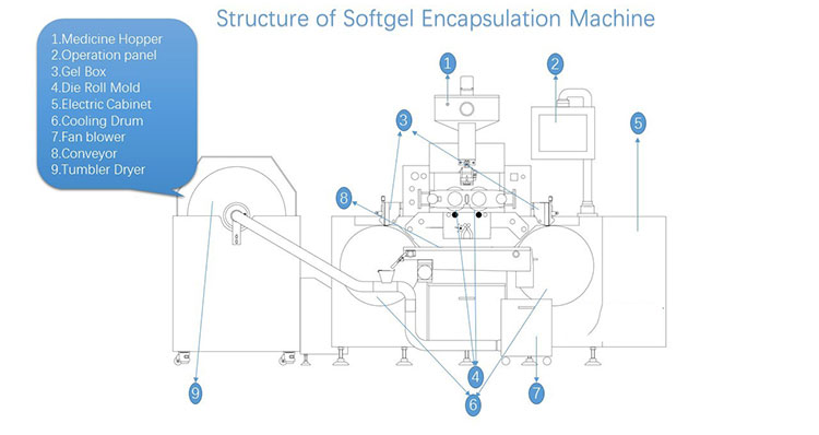 Structure of softgel encapsulation machine