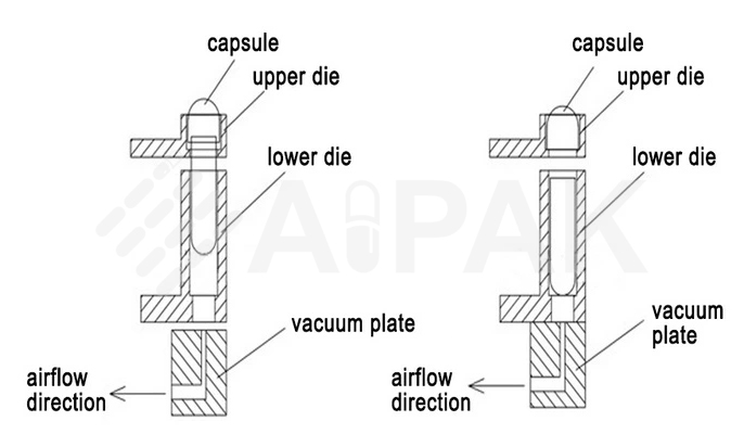 capsule-separation-schematic-2