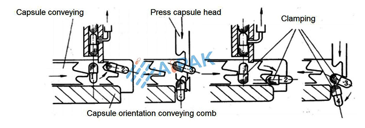 capsules falls