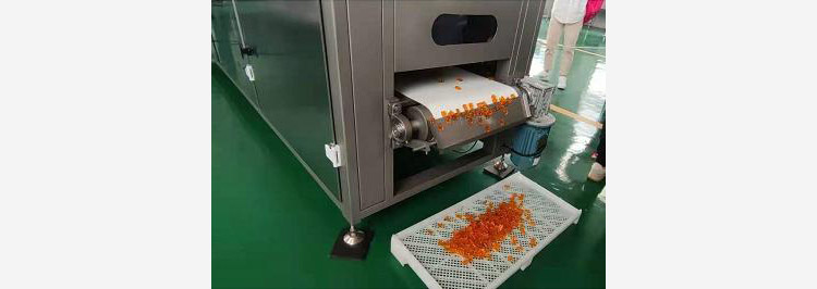 De-Molding of Gummy Candies- Gummy Depositor-1