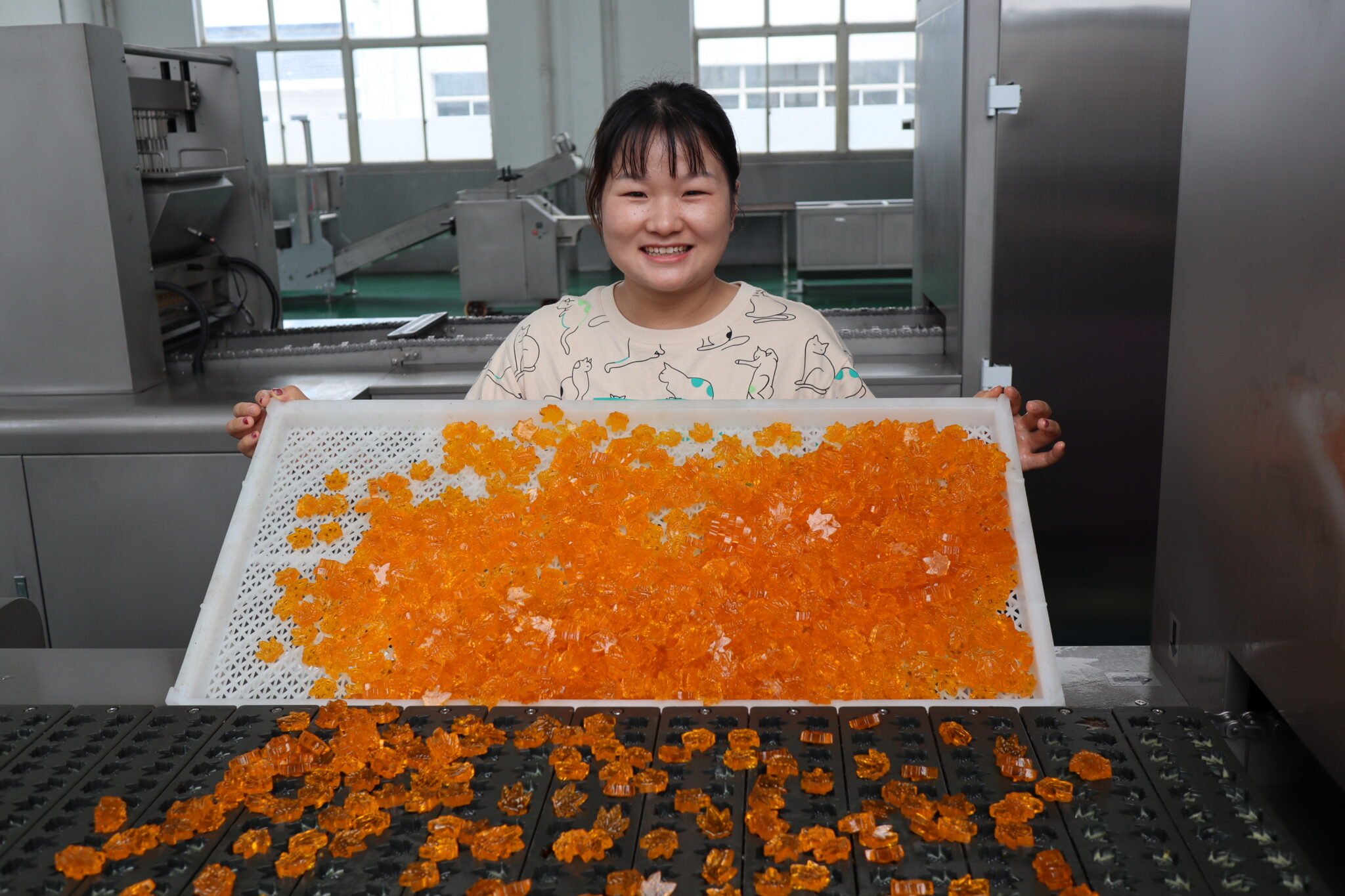 Gummy DepositorA Complete Buying Guide in 2024 AIPAK