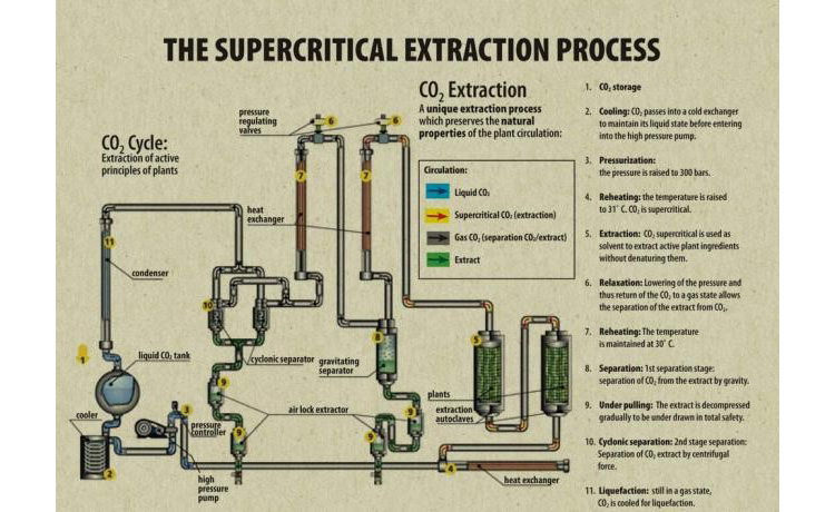 Supercritical-CO2-Extraction-process