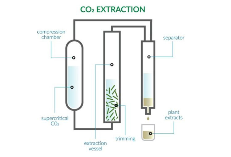 Supercritical-CO2-extraction