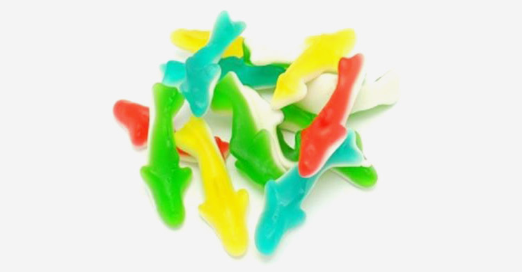 Gummy sharks