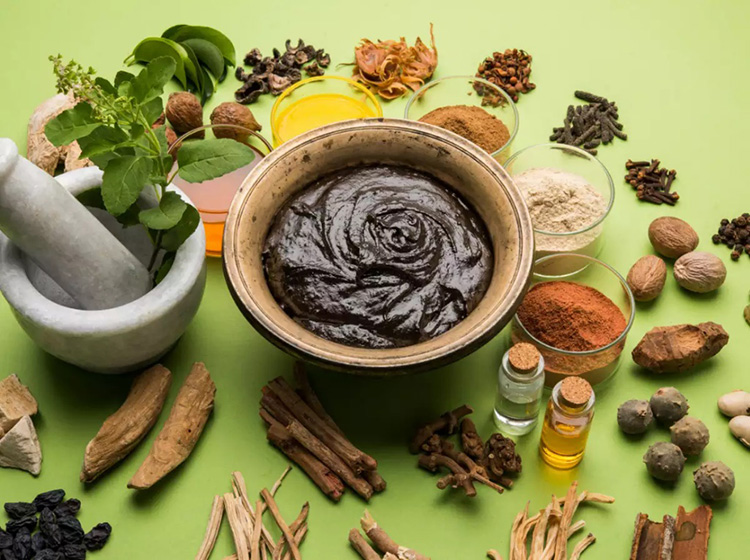 Ayurvedic Industry