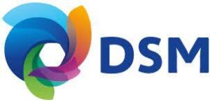 DSM GROUP