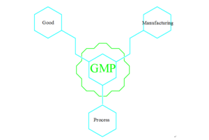 modle of cGMPS