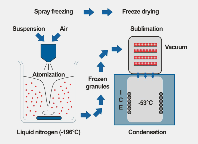 Freeze Granulation