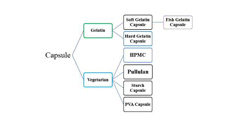basic classification of capsules