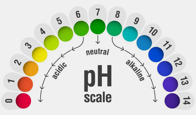 pH of Mix