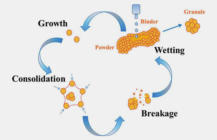 wet granulation