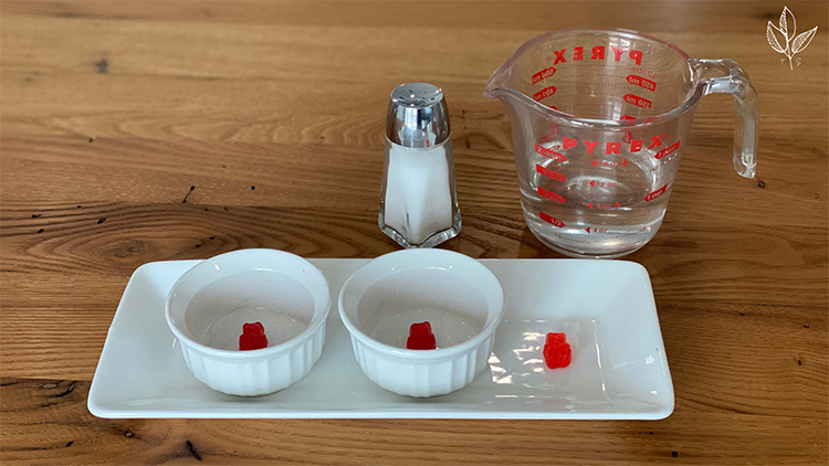 Different Liquids for Gummy Melting