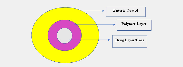 Enteric Coating-2