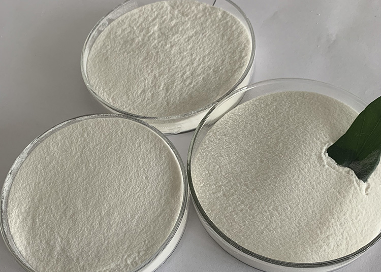 Hydroxyl Propyl Methyl Cellulose Phthalate