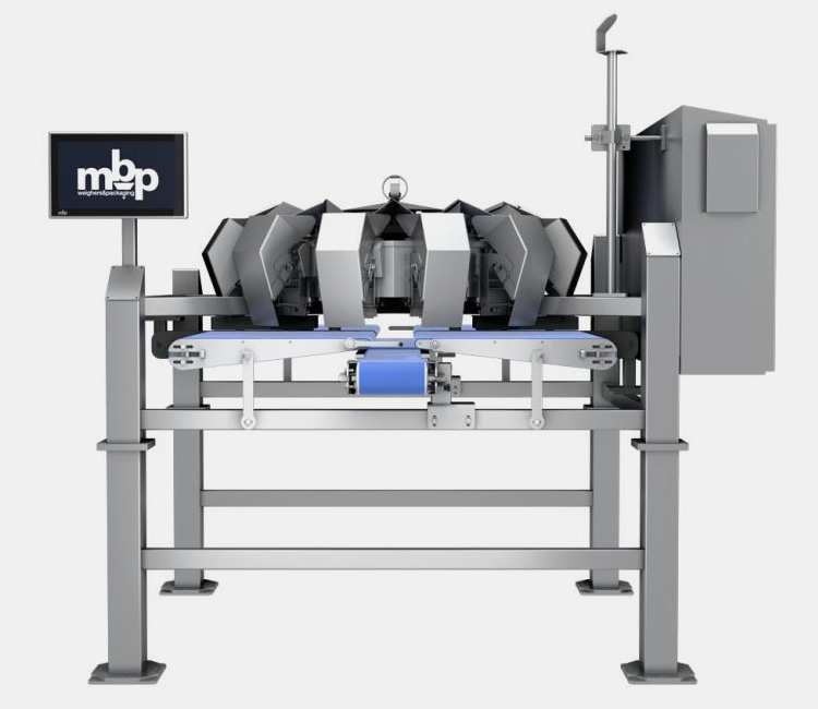 Flow Wrap Machine-6