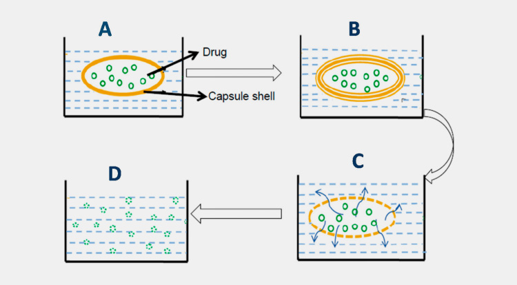 STEPS INVOLVED IN DISSOLVING CAPSULE