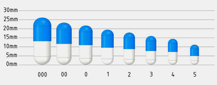 CAPSULE SIZE CHART