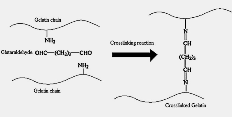 Cross-linking