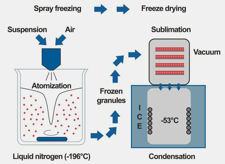 Pharmaceutical Granultion-7