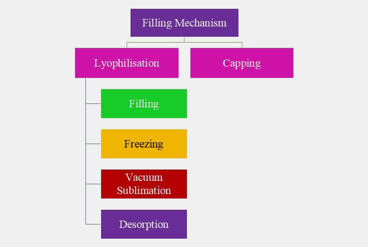 The Filling Mechanism
