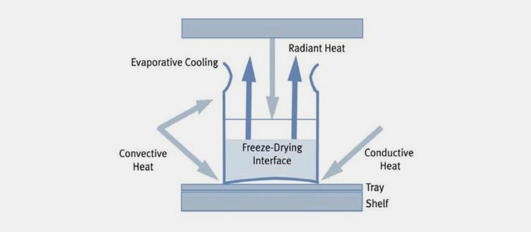 Vacuum Sublimation