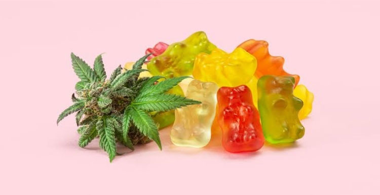 CBD Gummy