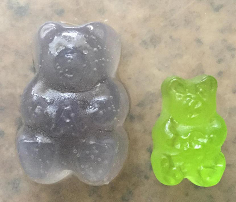 Gummy Bear Osmosis Experiment-10