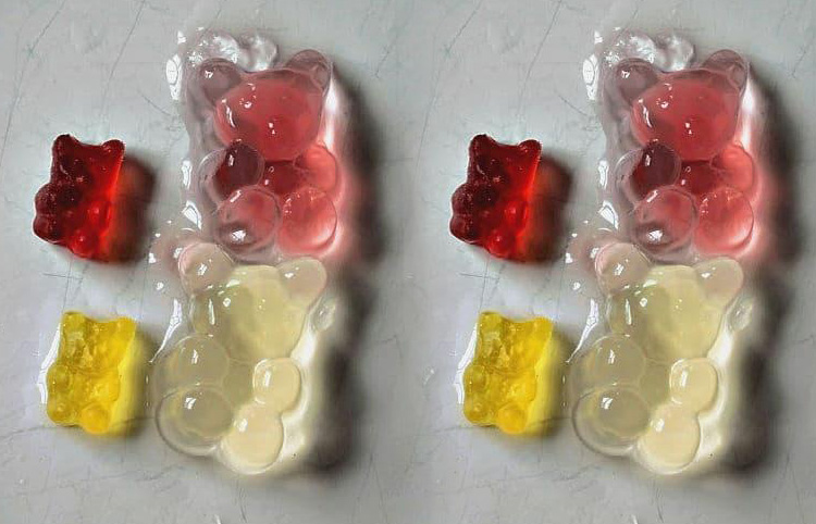 Gummy Bear Osmosis Experiment-8