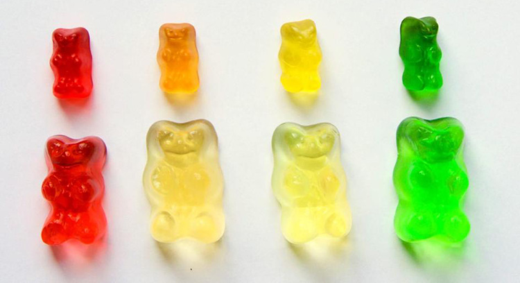 Gummy Bear Osmosis Experiment