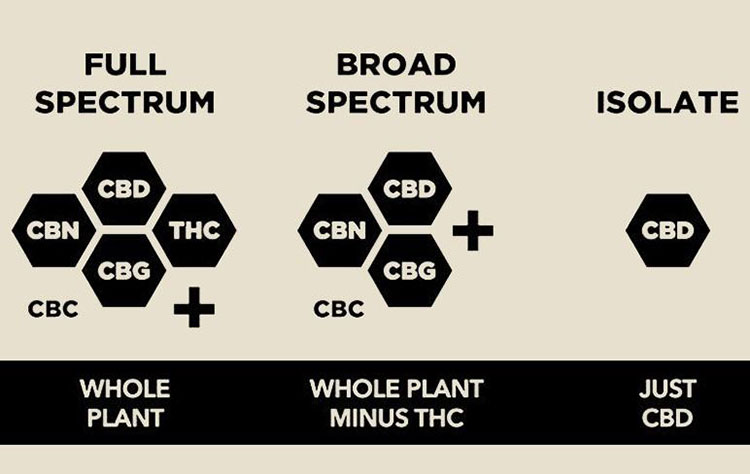 Variable Types Of CBD Gummies