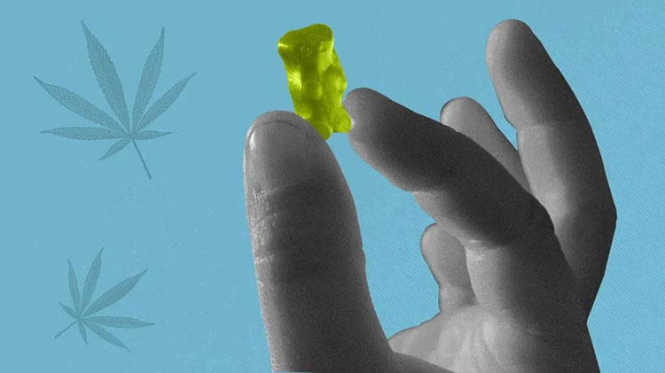 Tips for taking CBD Gummies