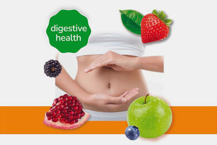 Gummies For Digestive System