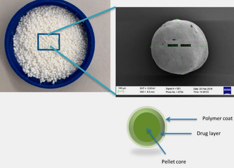 Pellet size