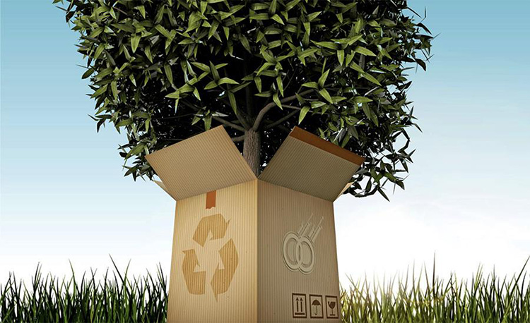Sustainability in Packaging Industry