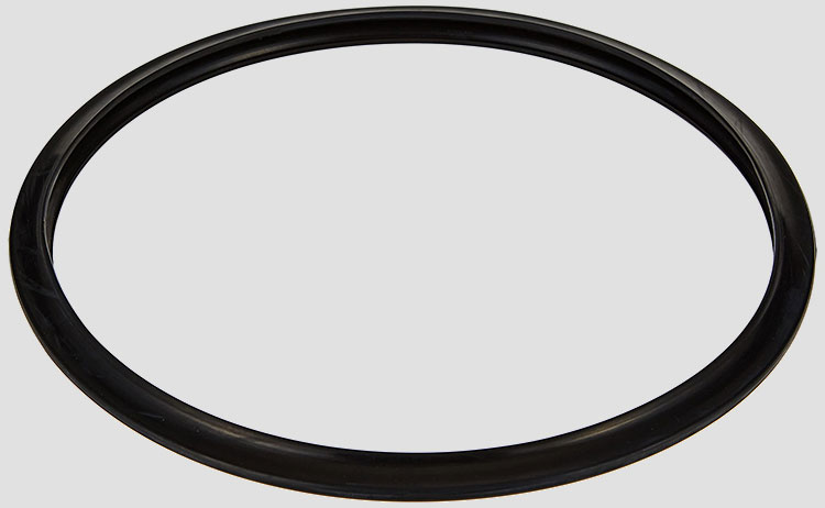 Sealing Ring