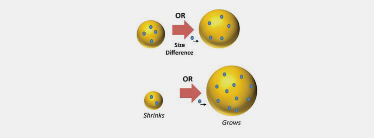 Size Distribution