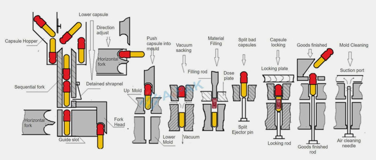 capsule filling machine work