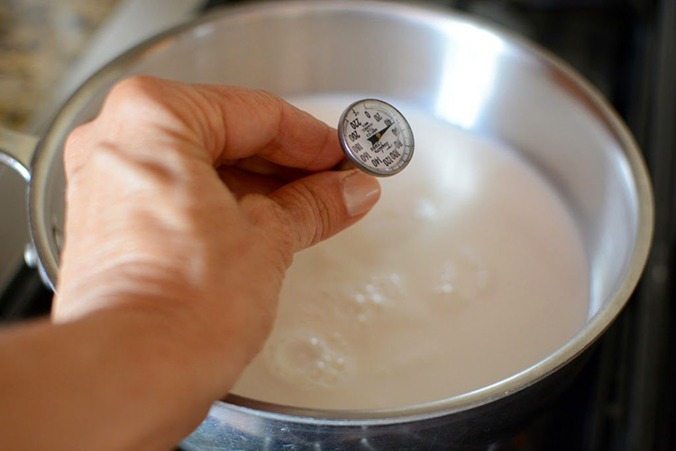 Milk Powder Produced