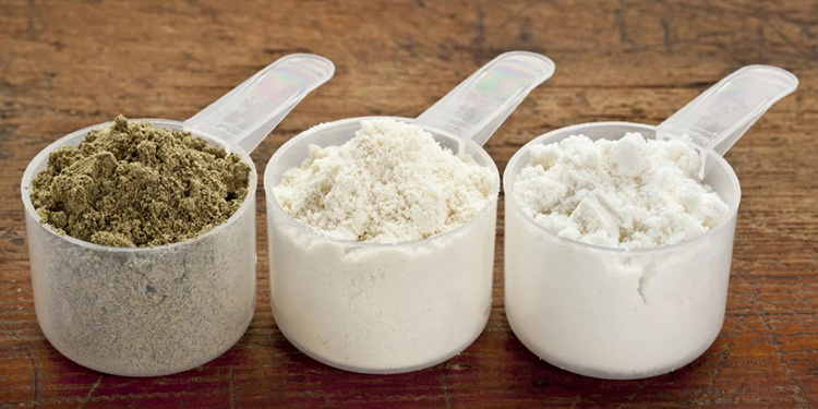Protein Powders Made
