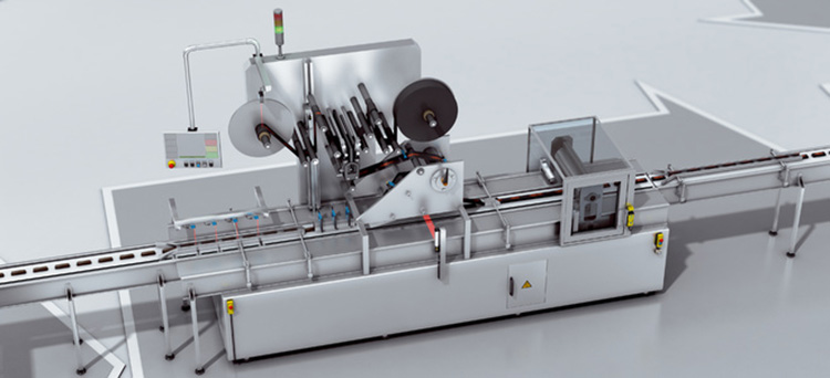 Horizontal Form Fill Sealing Machine