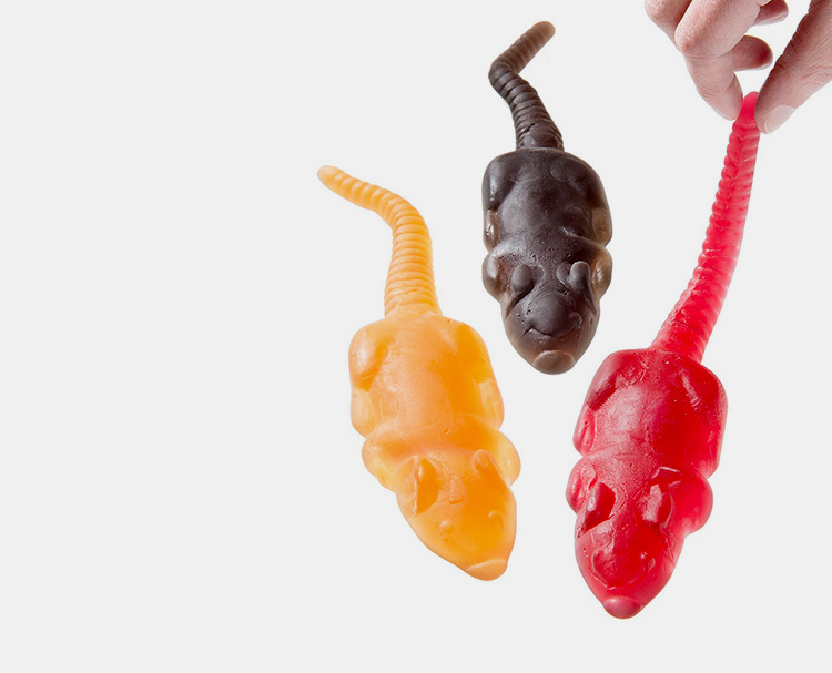 Gummy Rats